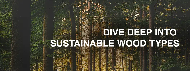 Dive deep into Sustainable Wood Types